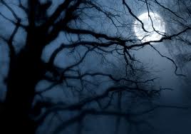 astro misli,horoskop