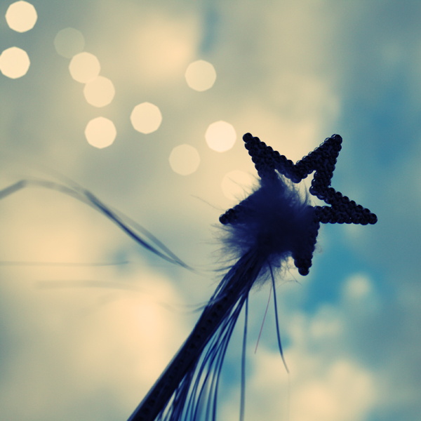 330ab27b93ca55309028e0458be54924