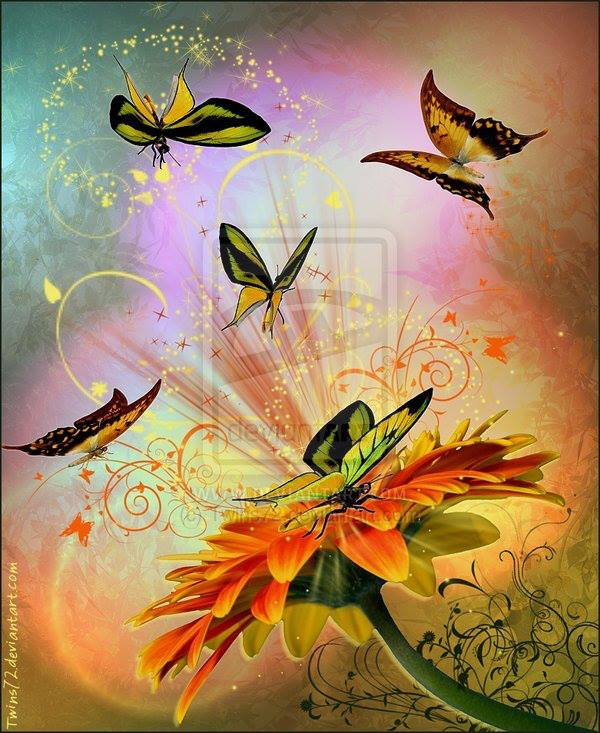 992174_10151767438954049_1351321121_n