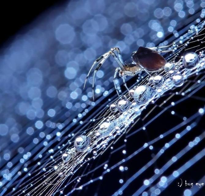 1381159_221046941352249_1261834622_n