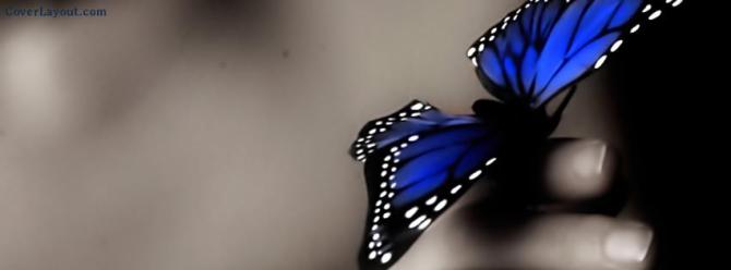 934604_10151614707689049_848923394_n