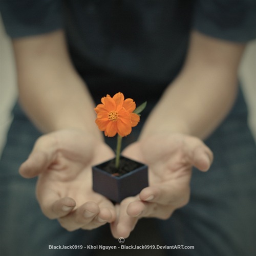 Merkur sekstil Venera