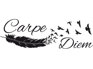 carpe diem image
