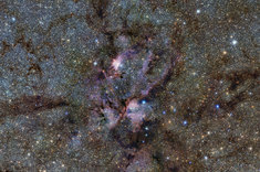 lobster-nebula-scorpius