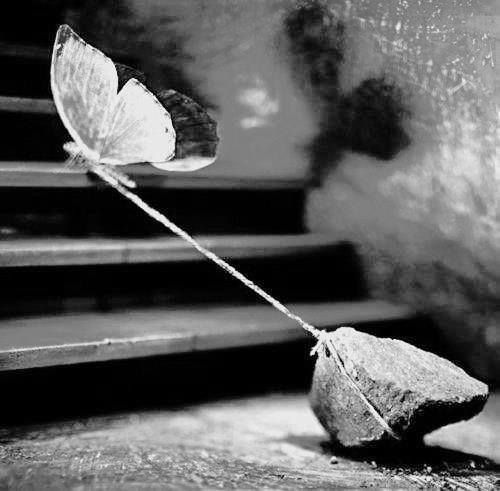 Retrogradni Merkur i Uran se „gledaju“ sa 29 stepena&nbsp;Škorpije/Bika